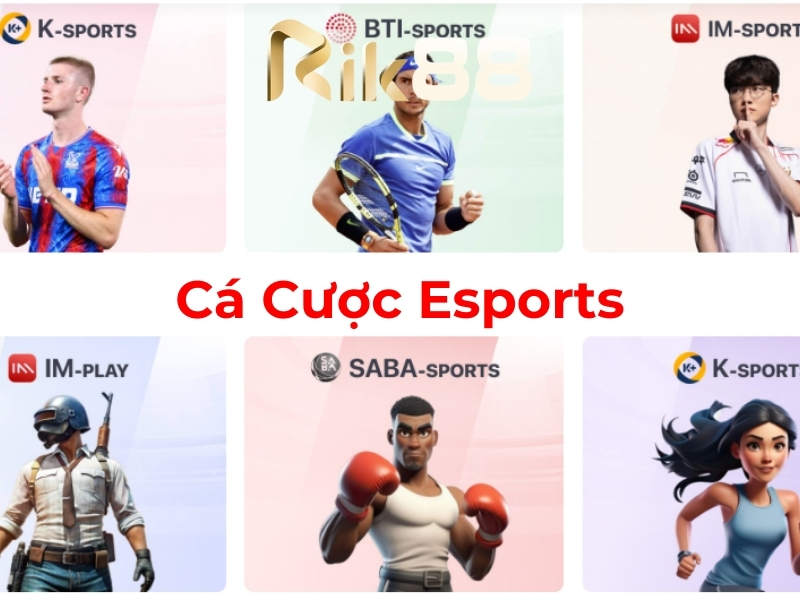 Cá cược Esports