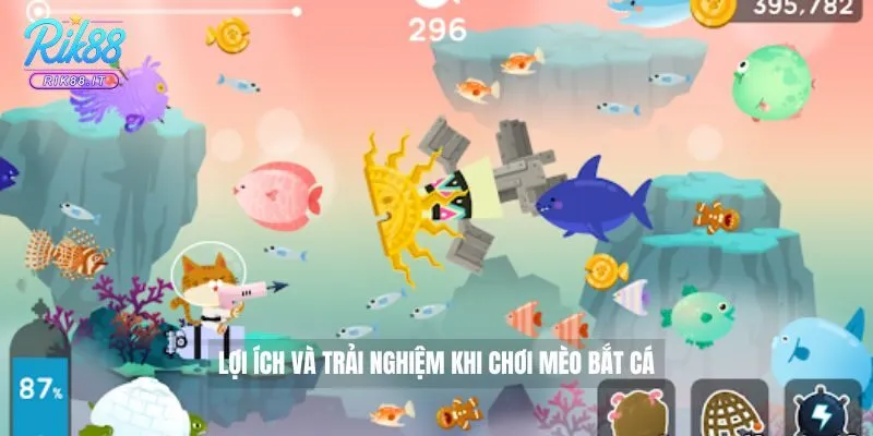 Mèo Bắt Cá Rik88 Hướng Dẫn Chơi Chi Tiết Cho Người Mới 4 Lợi ích và trải nghiệm khi chơi mèo bắt cá