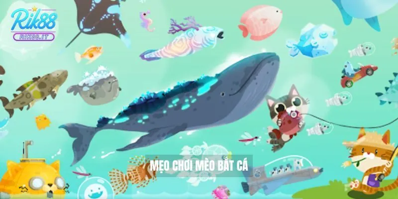 Mèo Bắt Cá Rik88 Hướng Dẫn Chơi Chi Tiết Cho Người Mới 3 Mẹo chơi mèo bắt cá